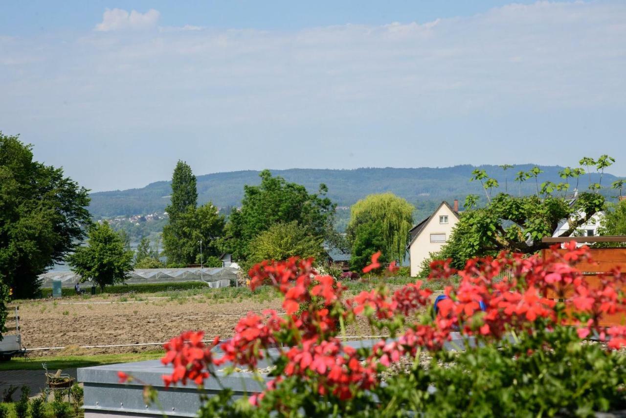 Ferienwohnungen Richard Wurz Reichenau Bagian luar foto