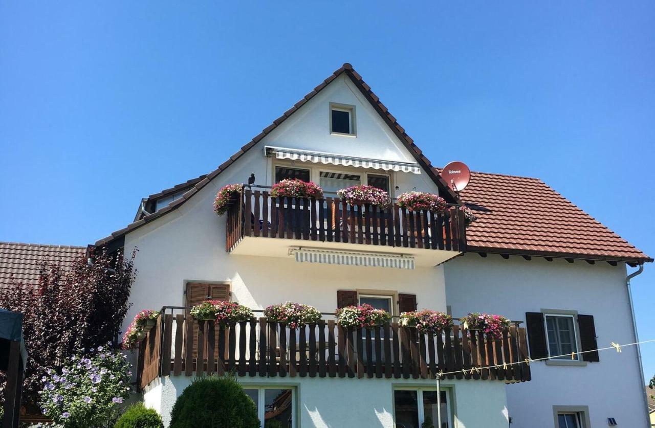Ferienwohnungen Richard Wurz Reichenau Bagian luar foto